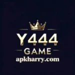 Y444 Game