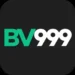 BV999 Game Logo