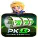 PK11 Game Logo